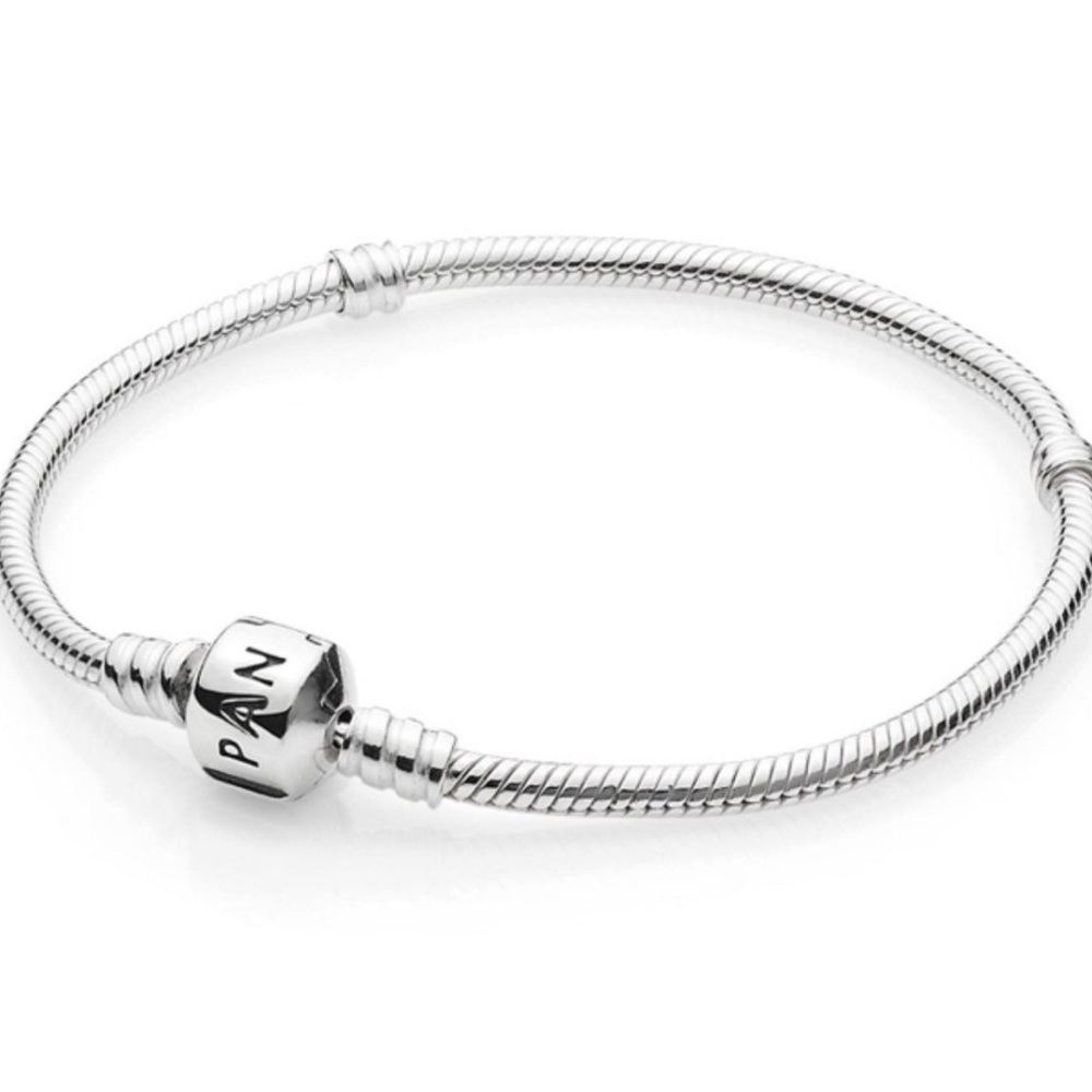 Pandora Snake Chain Bracelet